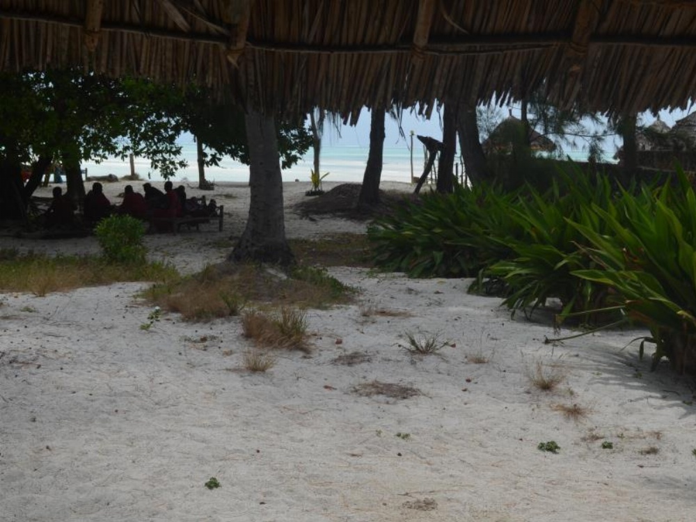 Ndame Beach Lodge Image 21